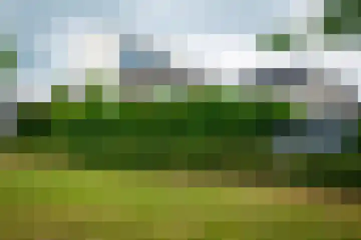 Vlasbekje 7 Voorthuizen thumbnail 49