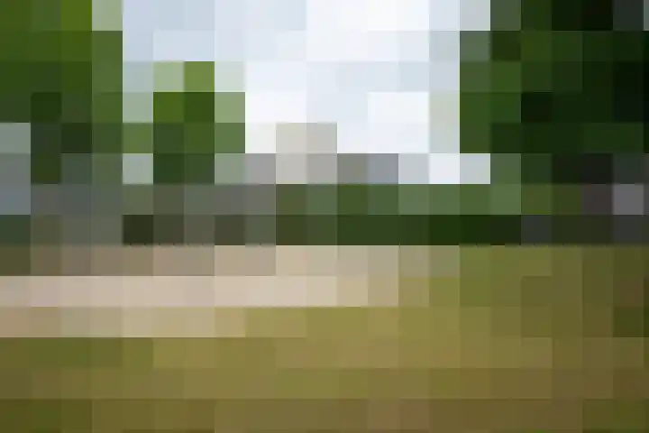 Vlasbekje 7 Voorthuizen thumbnail 51