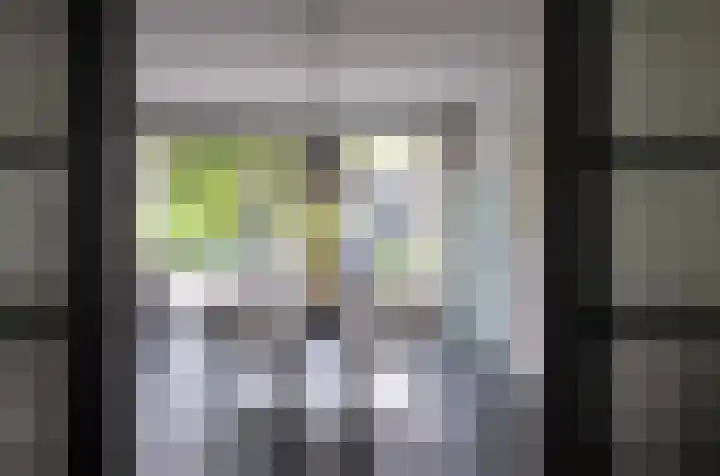 Vlasbekje 7 Voorthuizen thumbnail 7