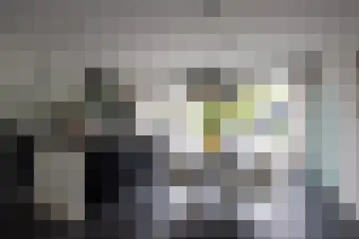 Vlasbekje 7 Voorthuizen thumbnail 8