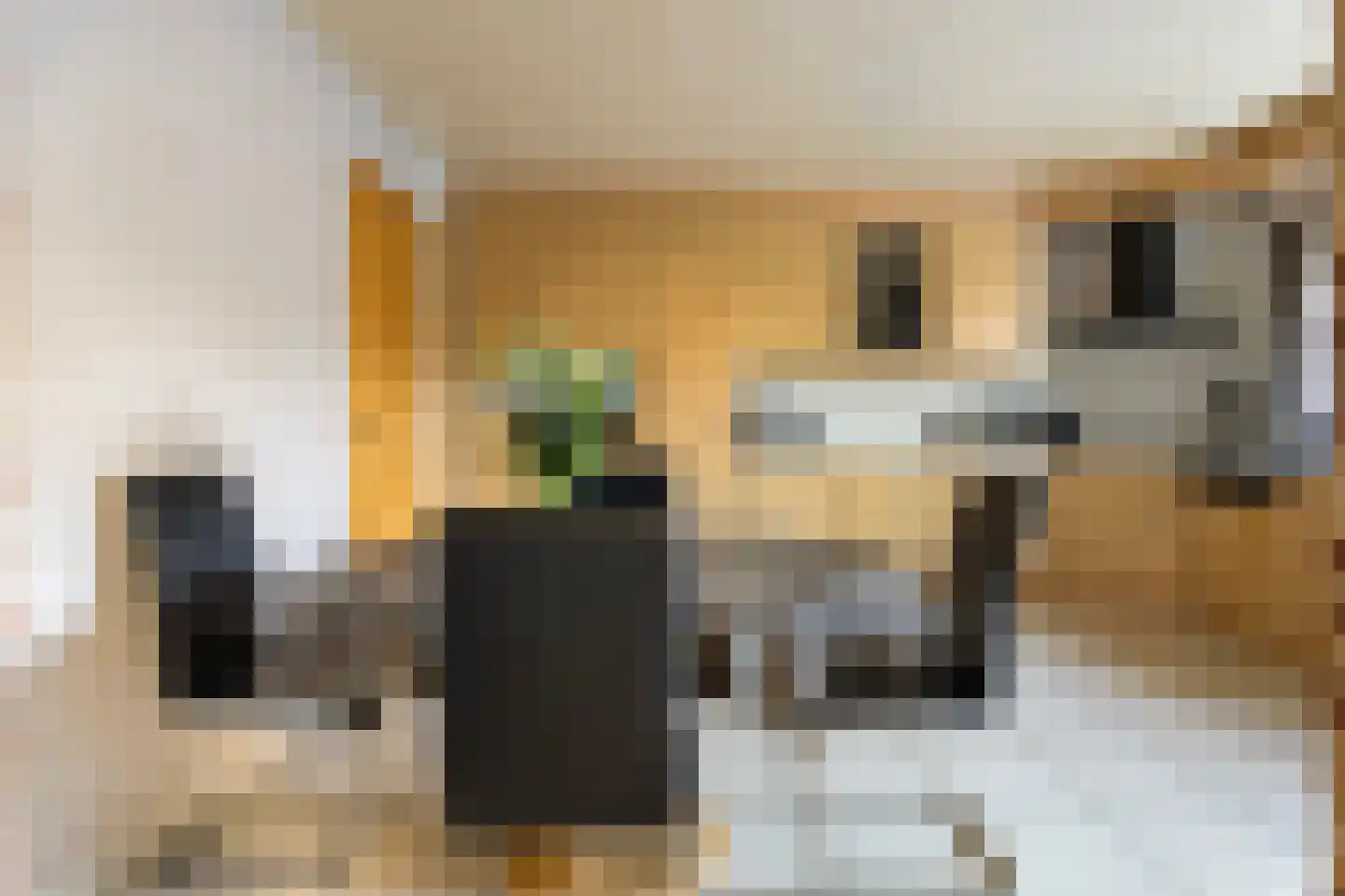 Vlasbloem 4 Heikant thumbnail 13