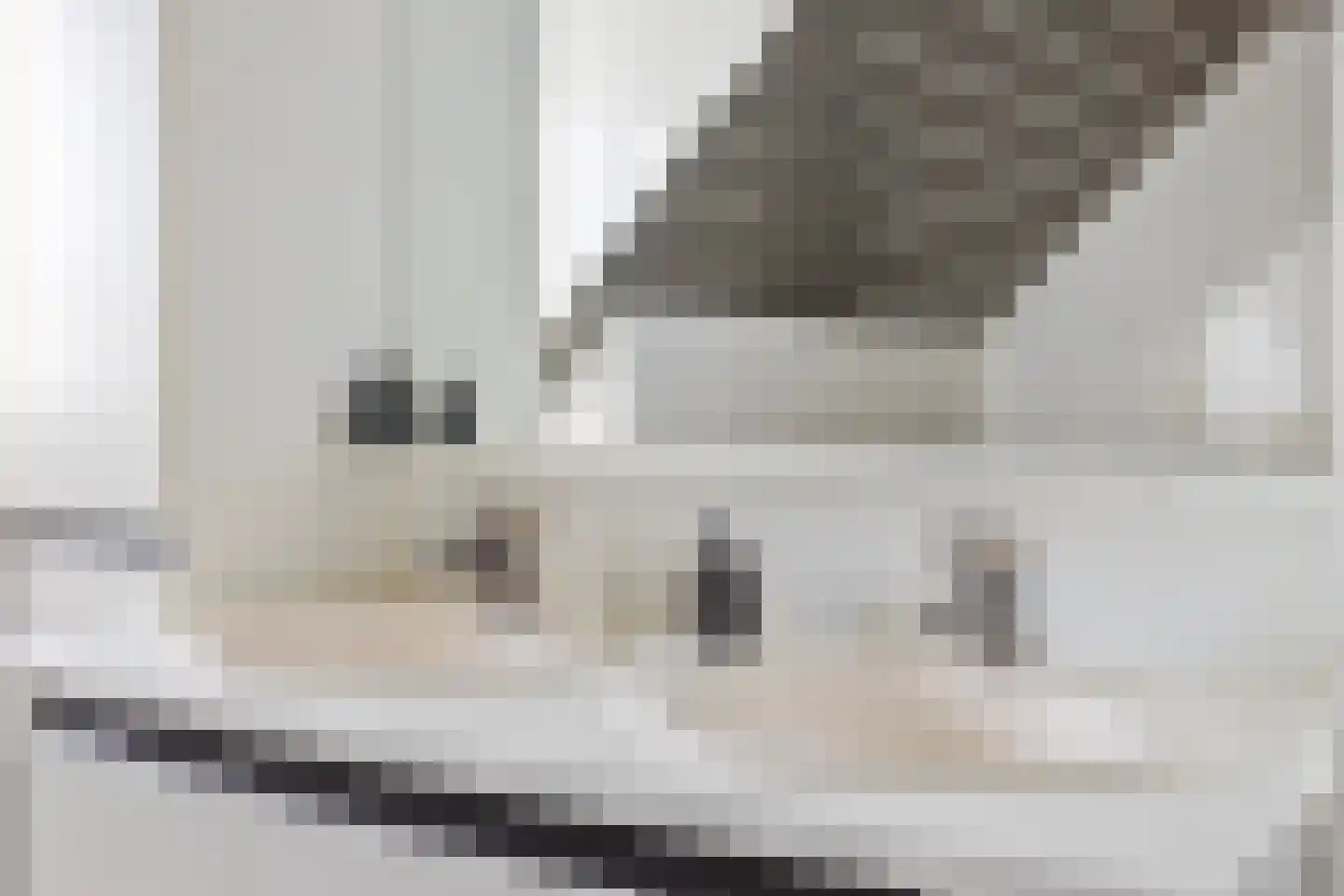 Vlasbloem 4 Heikant thumbnail 22