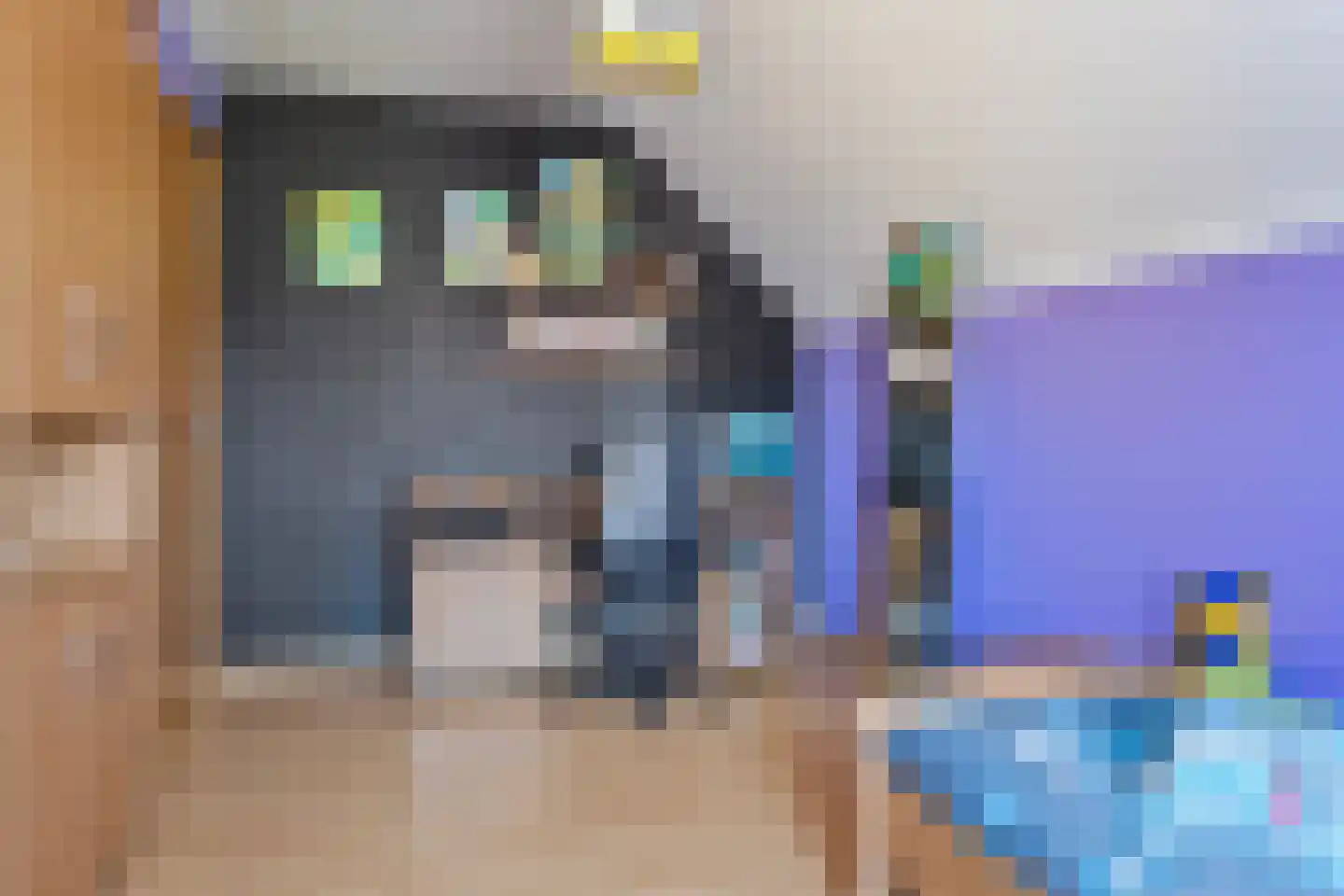 Vlasbloem 4 Heikant thumbnail 25