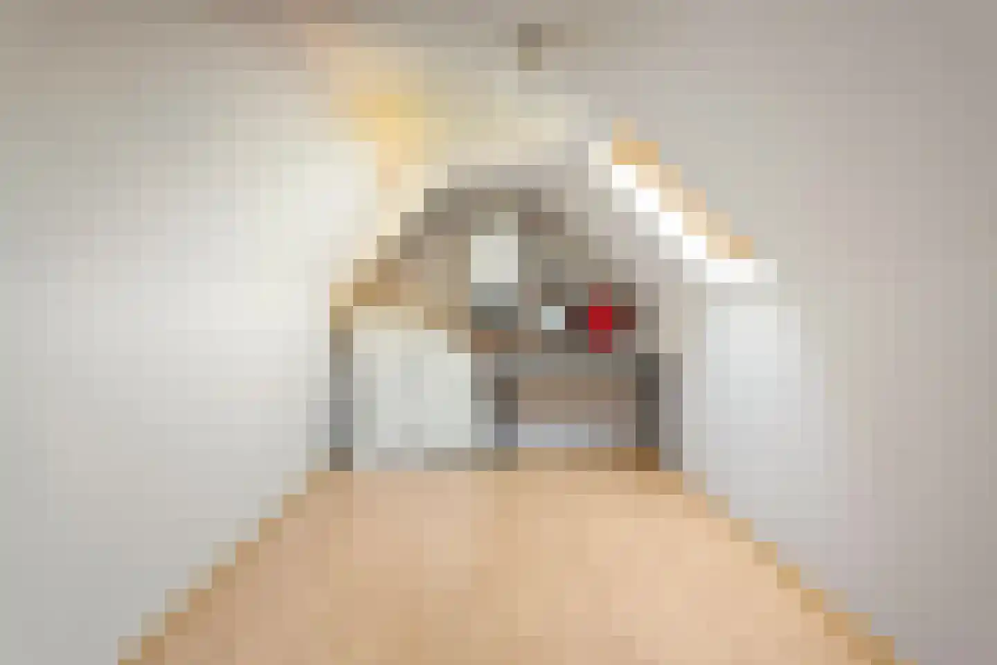 Vlasbloem 4 Heikant thumbnail 30