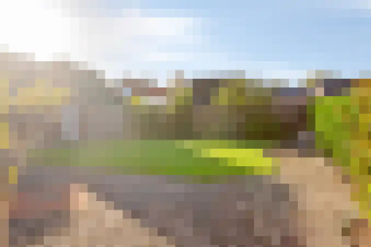 Vlasbloem 4 Heikant thumbnail 32