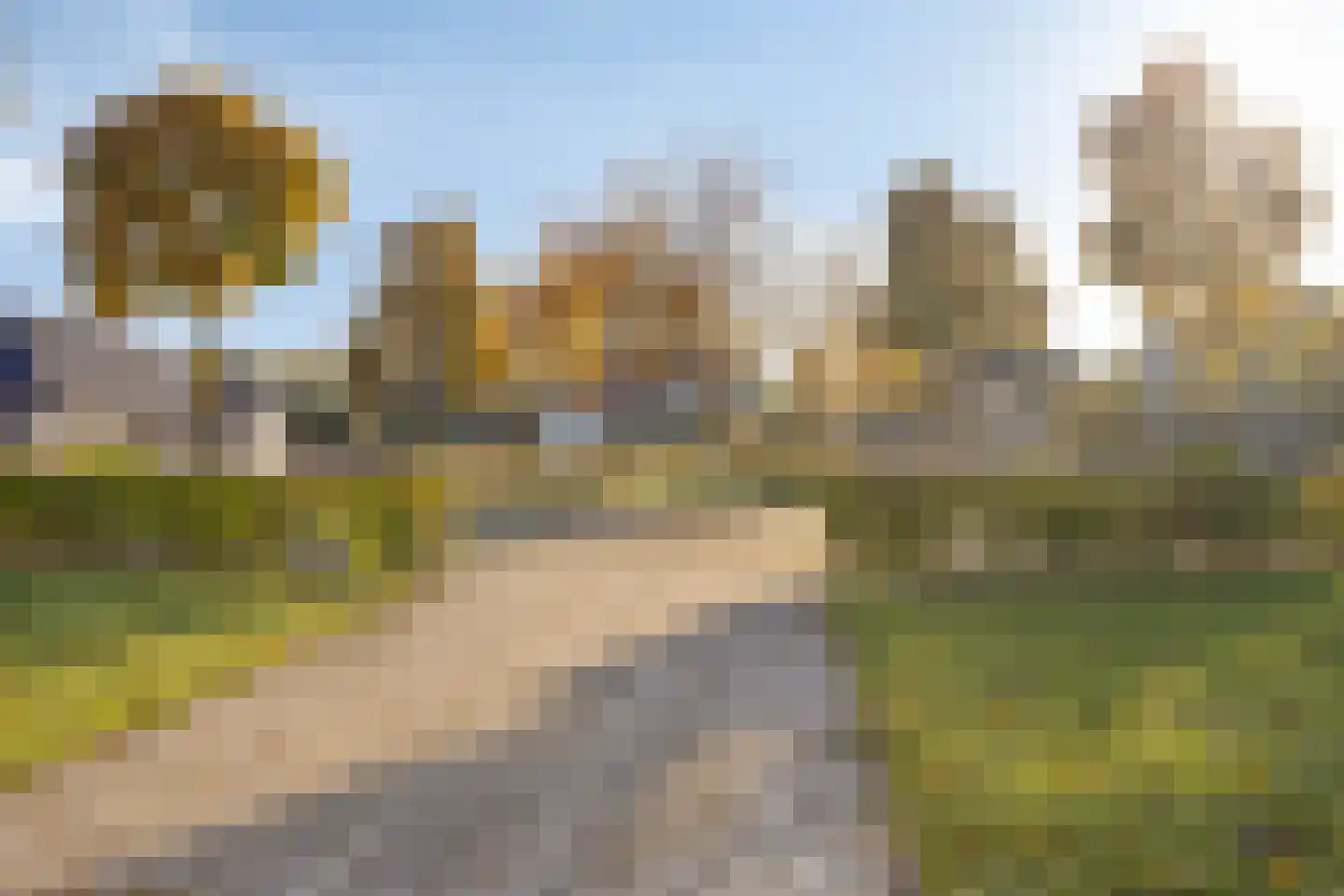 Vlasbloem 4 Heikant thumbnail 34