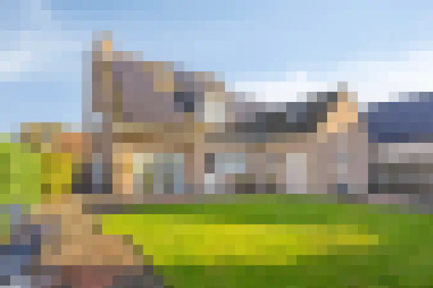 Vlasbloem 4 Heikant thumbnail 6