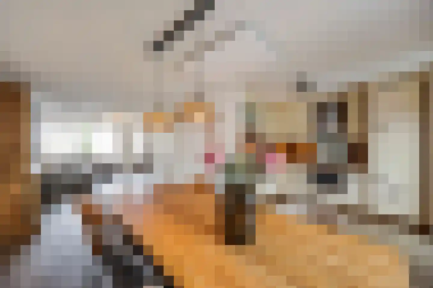 Vlasbree 22 Montfort thumbnail 19