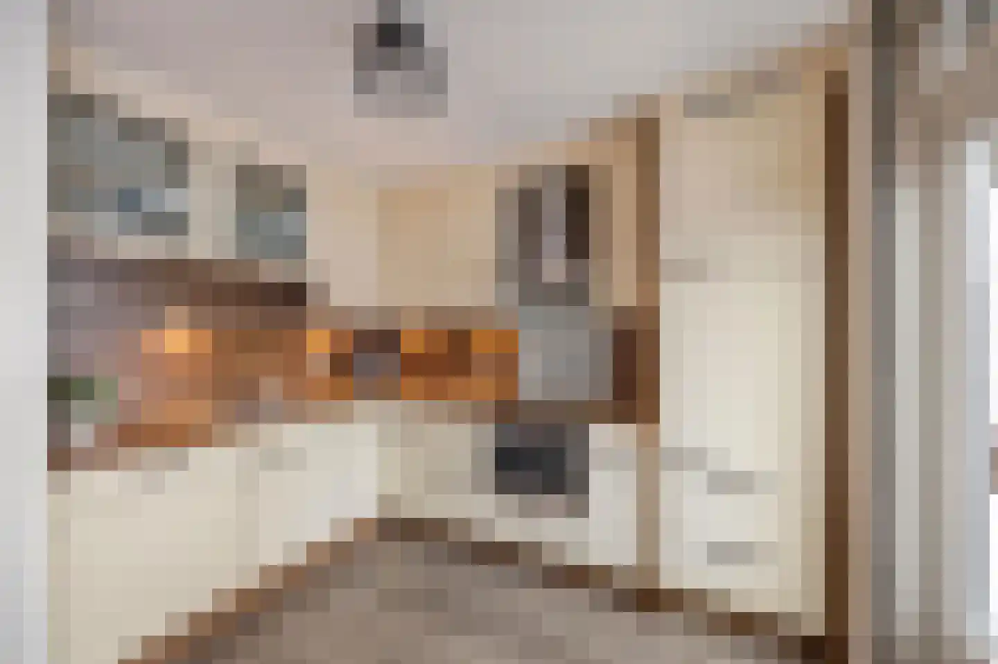 Vlasbree 22 Montfort thumbnail 20