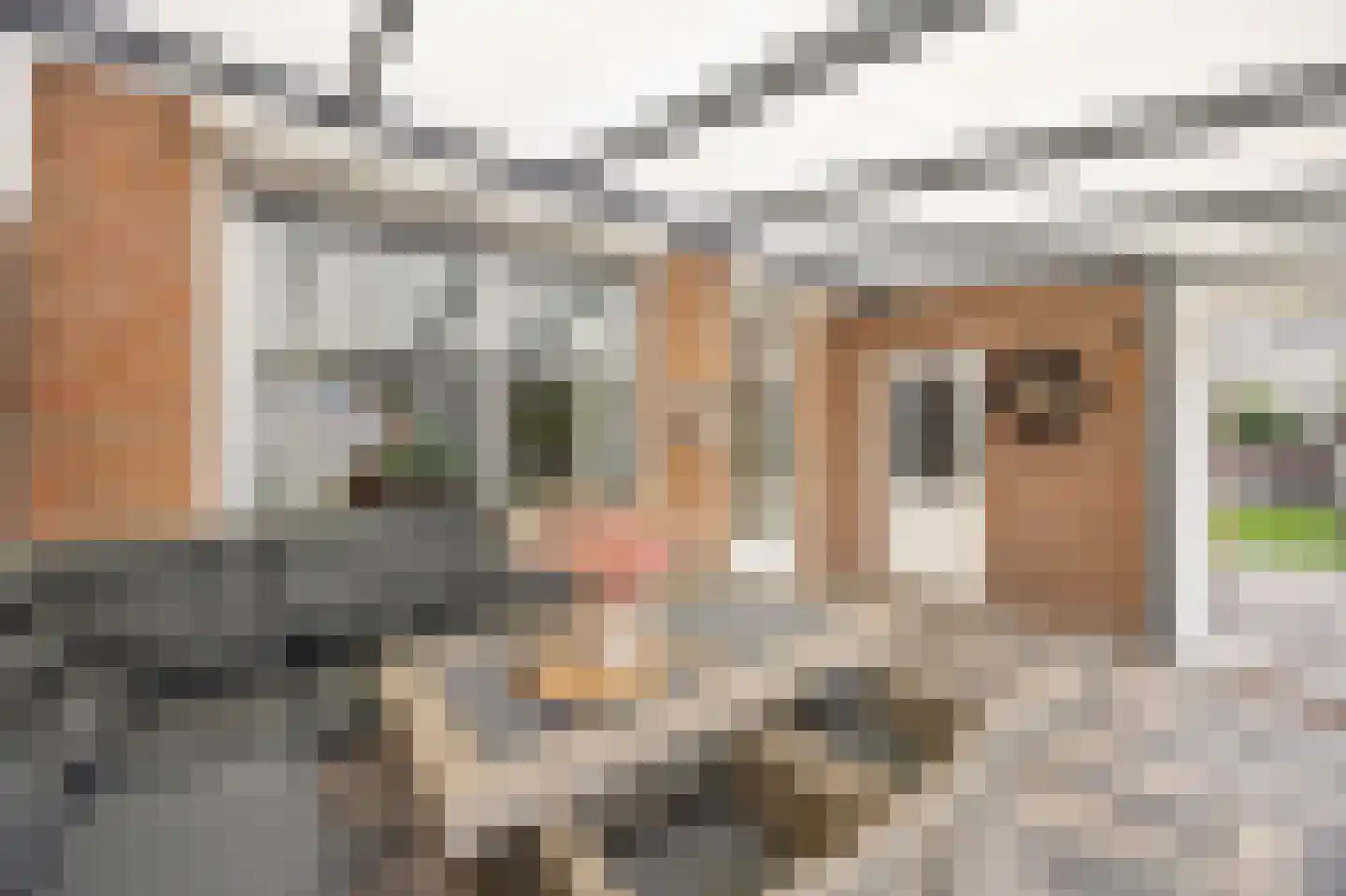 Vlasbree 22 Montfort thumbnail 24