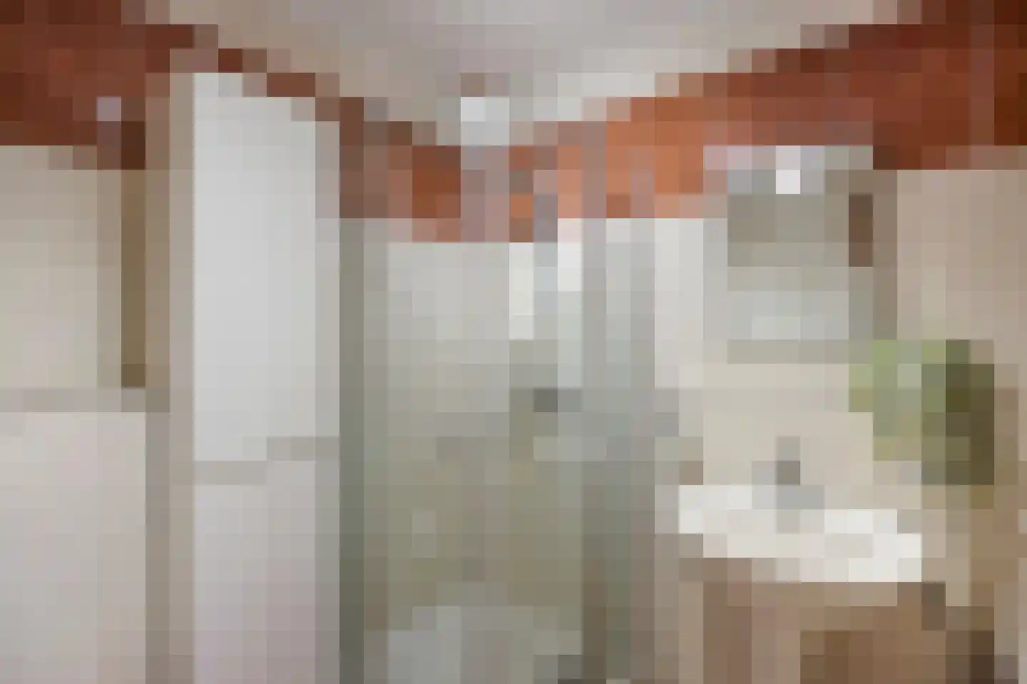 Vlasbree 22 Montfort thumbnail 35