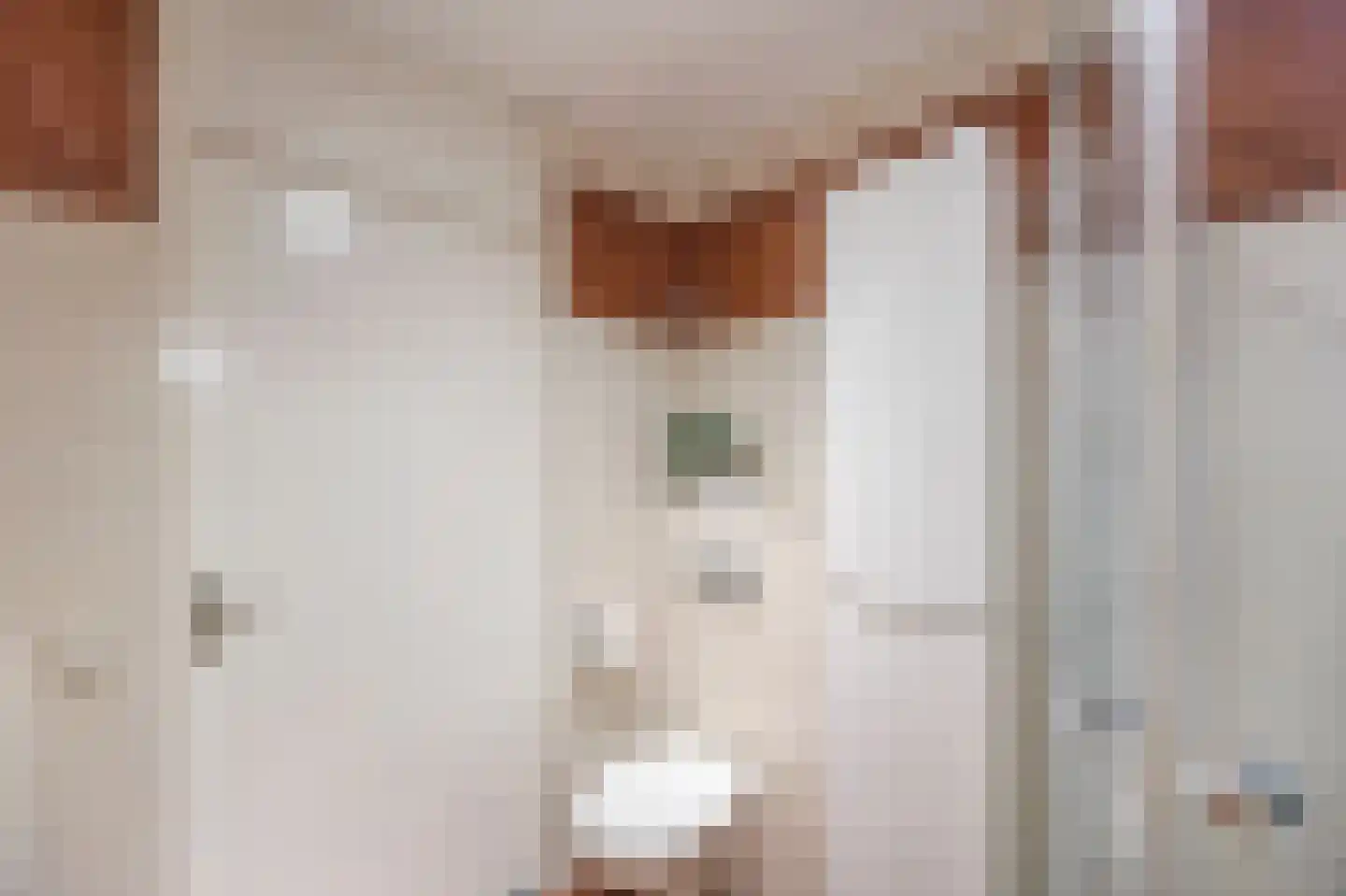 Vlasbree 22 Montfort thumbnail 37