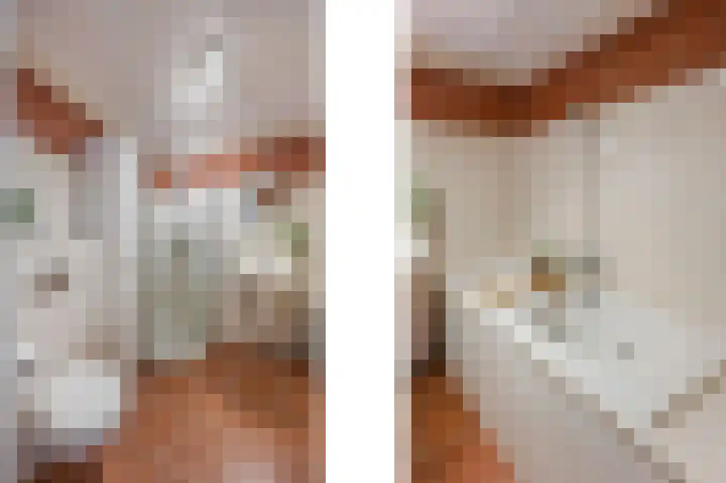 Vlasbree 22 Montfort thumbnail 4
