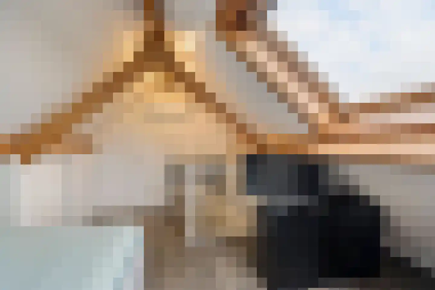 Vlasbree 22 Montfort thumbnail 40