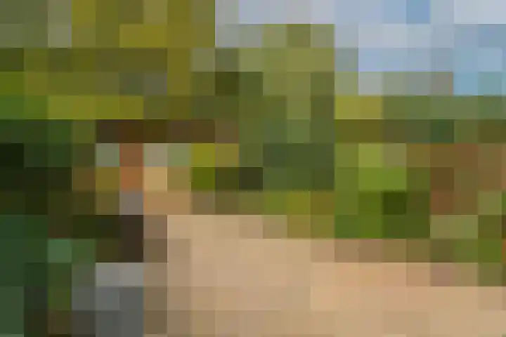 Vlasdonk 15 Diemen thumbnail 19