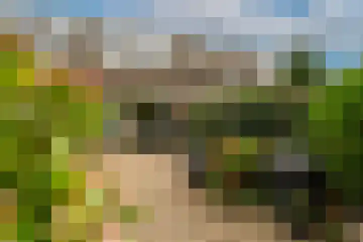 Vlasdonk 15 Diemen thumbnail 20