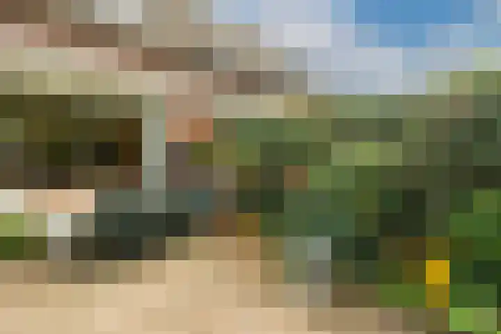 Vlasdonk 15 Diemen thumbnail 22