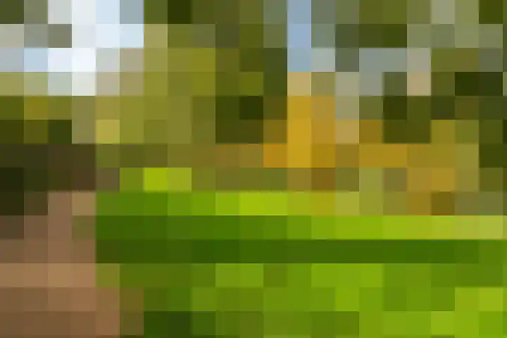 Vlasdonk 15 Diemen thumbnail 23