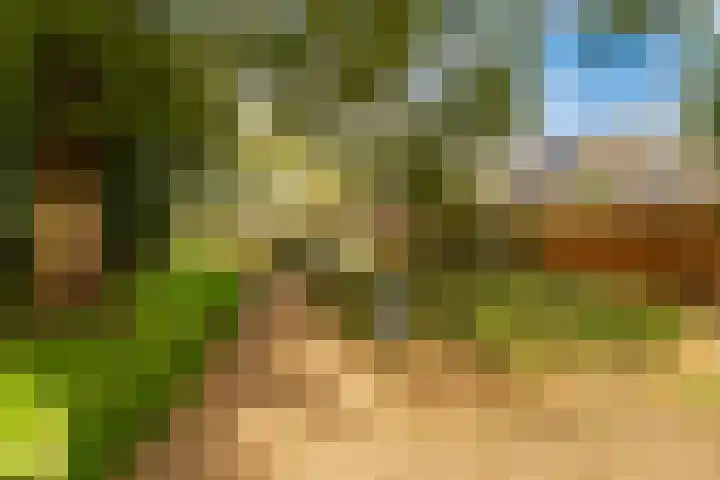 Vlasdonk 15 Diemen thumbnail 24