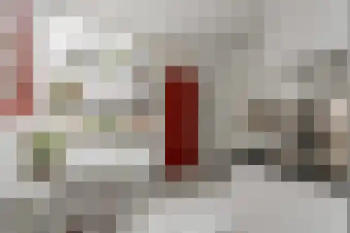 Vlasdonk 15 Diemen thumbnail 25