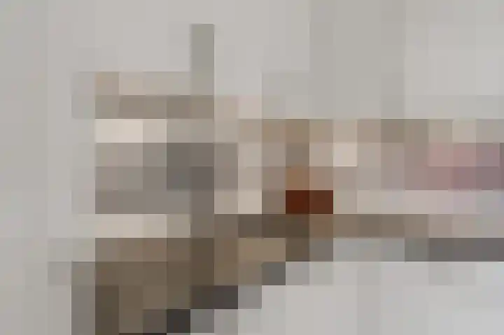 Vlasdonk 15 Diemen thumbnail 28