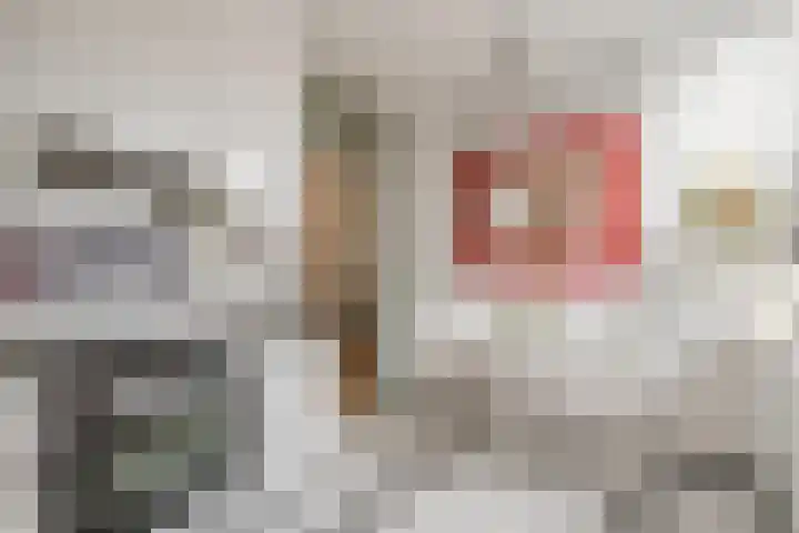 Vlasdonk 15 Diemen thumbnail 29