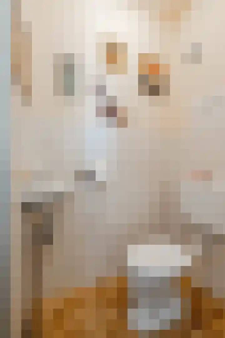 Vlasdonk 15 Diemen thumbnail 33