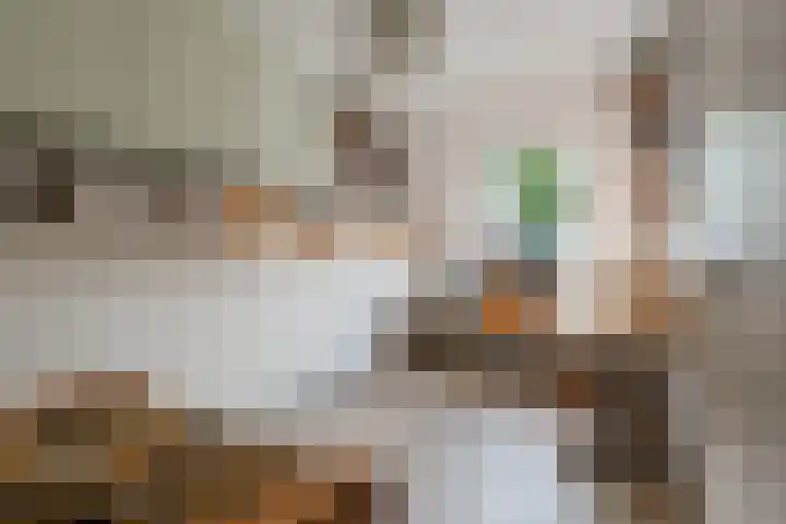 Vlasdonk 15 Diemen thumbnail 41