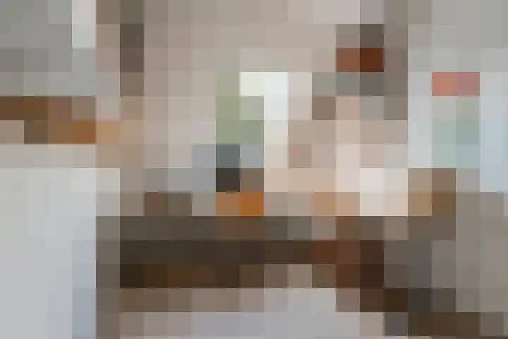 Vlasdonk 15 Diemen thumbnail 42
