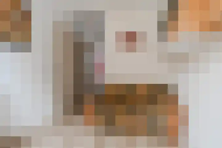 Vlasdonk 15 Diemen thumbnail 43