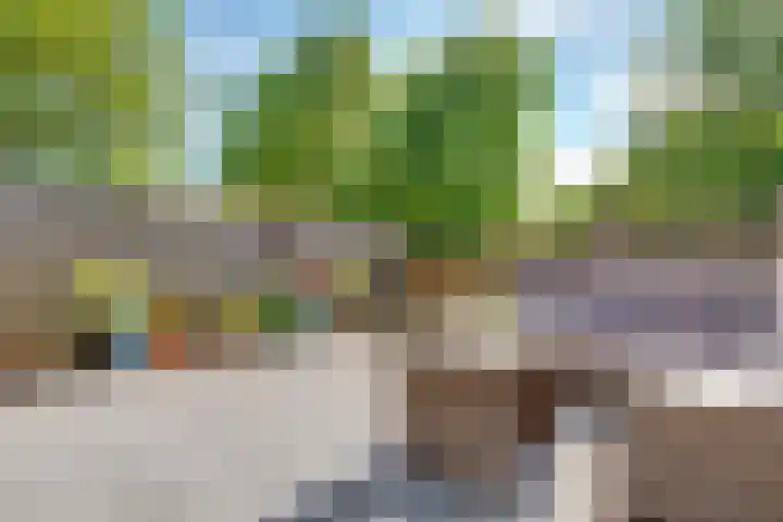 Vlasdonk 23 Diemen thumbnail 17