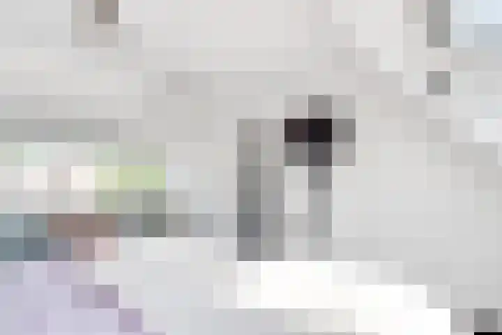 Vlasdonk 23 Diemen thumbnail 33