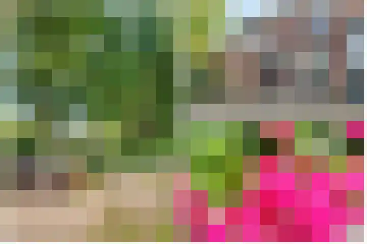 Vlasdonk 23 Diemen thumbnail 36