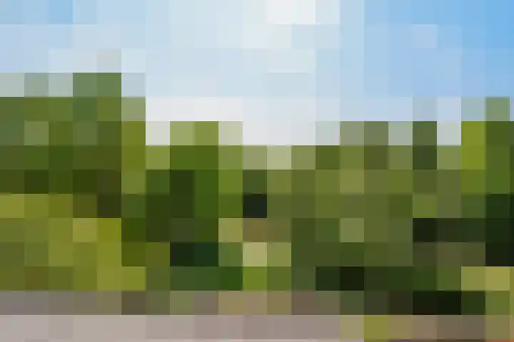 Vlasdonk 23 Diemen thumbnail 37