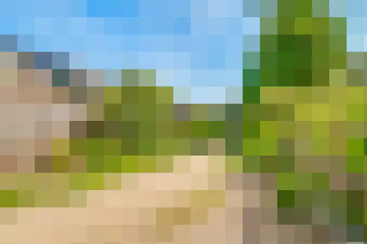 Vlasdonk 23 Diemen thumbnail 38