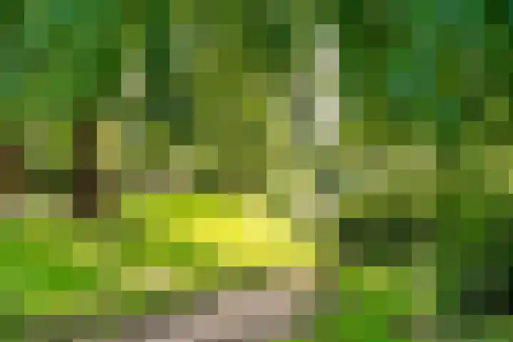Vlasdonk 23 Diemen thumbnail 40