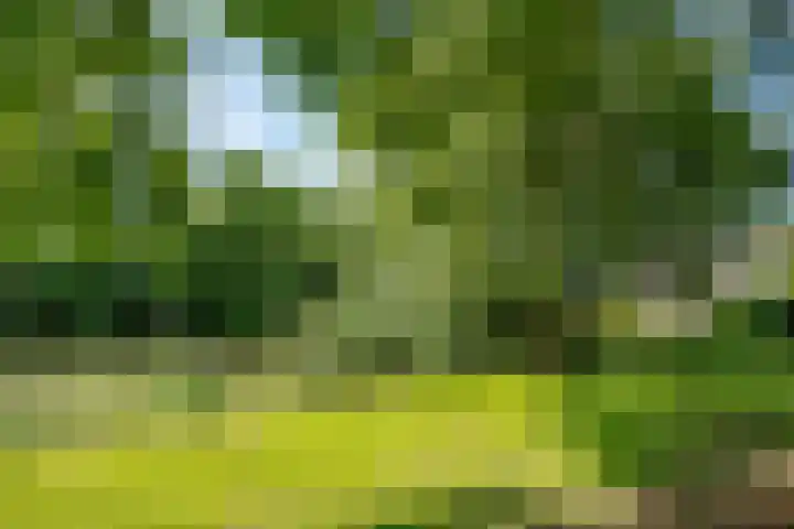 Vlasdonk 23 Diemen thumbnail 42