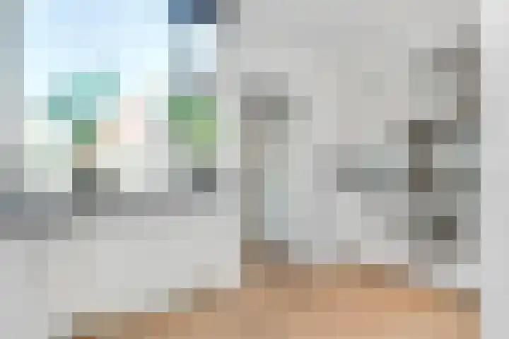 Vlasdonk 23 Diemen thumbnail 9