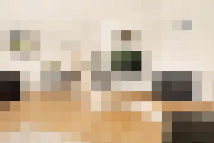 Vlasdonk 27 Diemen thumbnail 11