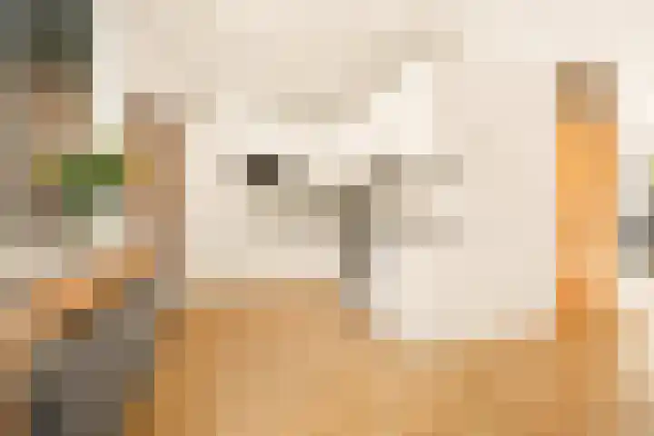 Vlasdonk 27 Diemen thumbnail 13