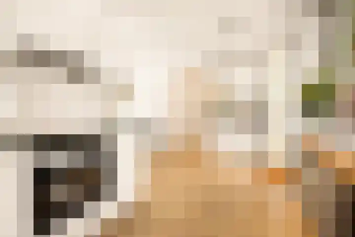 Vlasdonk 27 Diemen thumbnail 15