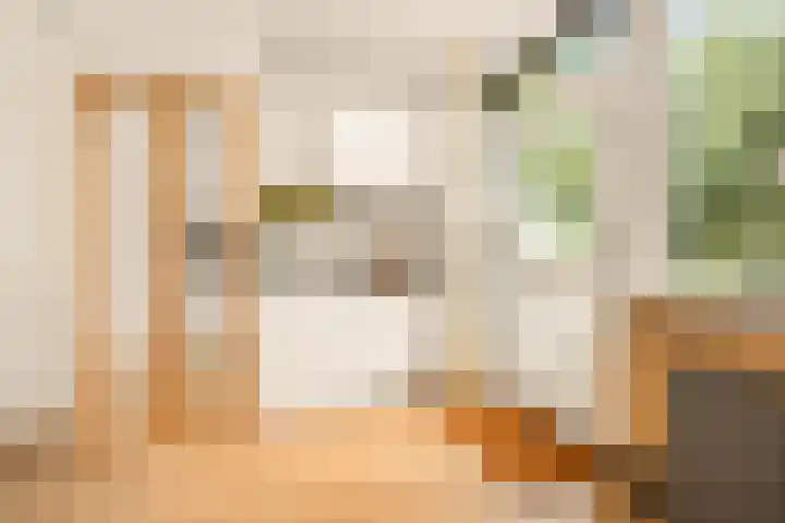 Vlasdonk 27 Diemen thumbnail 16