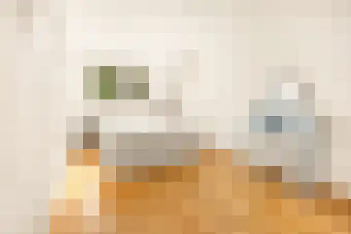 Vlasdonk 27 Diemen thumbnail 18