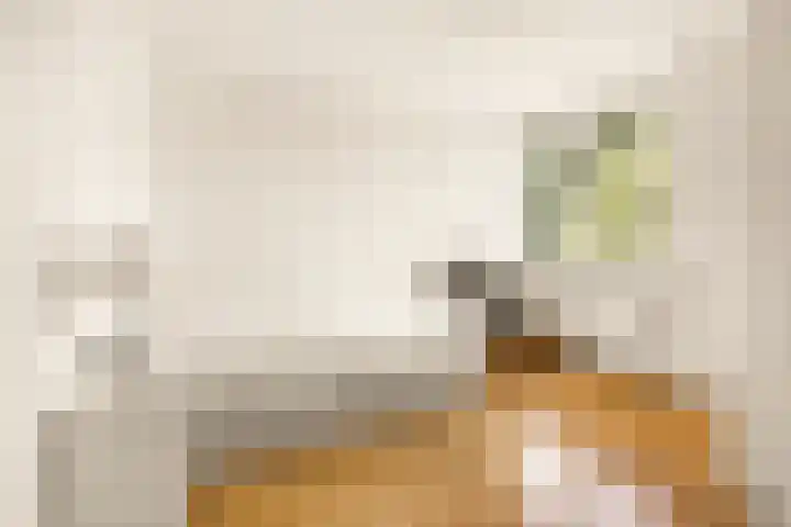 Vlasdonk 27 Diemen thumbnail 20