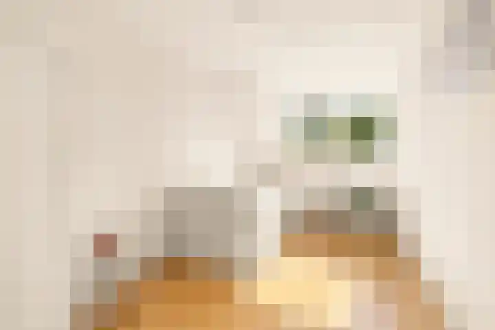 Vlasdonk 27 Diemen thumbnail 22