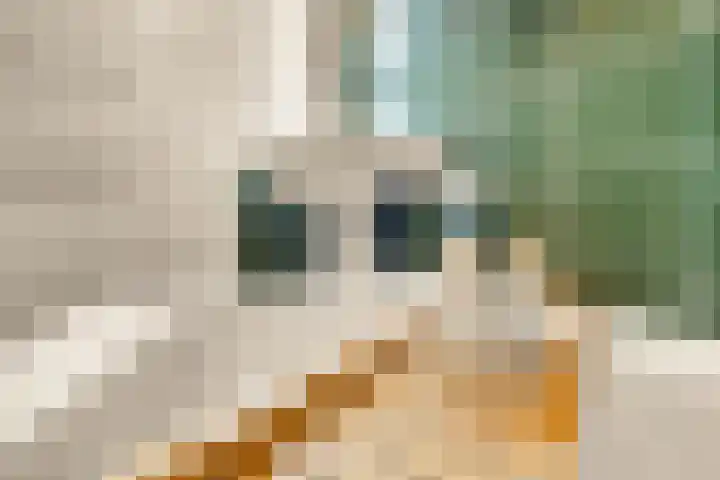 Vlasdonk 27 Diemen thumbnail 27