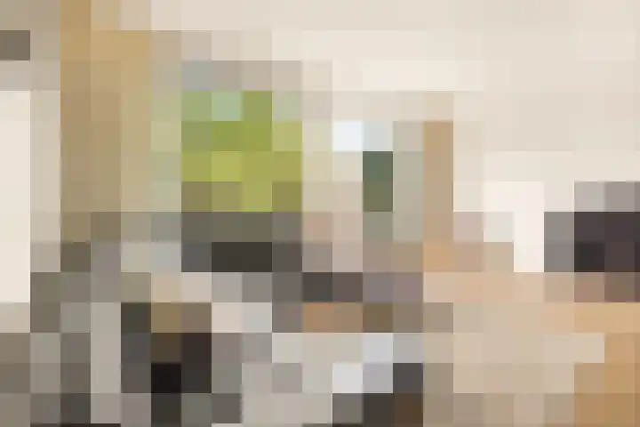 Vlasdonk 27 Diemen foto 3