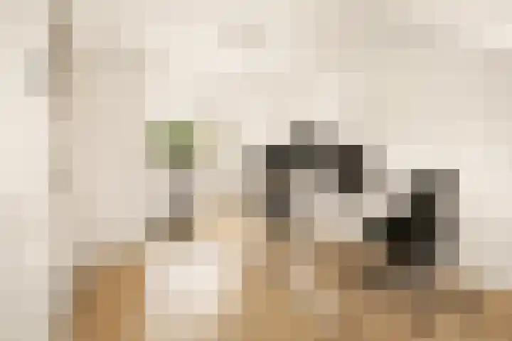Vlasdonk 27 Diemen thumbnail 30