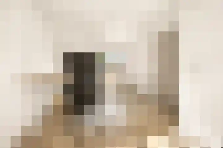 Vlasdonk 27 Diemen thumbnail 31
