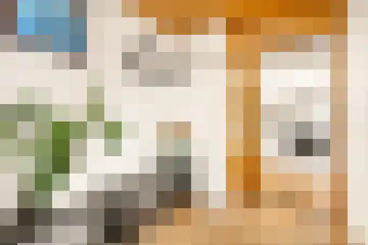 Vlasdonk 27 Diemen thumbnail 36